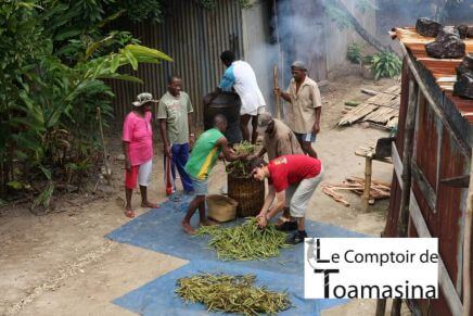 O preço da baunilha por quilo - Primeiro consumidor industrial de fava de baunilhade vanille à Madagascar
